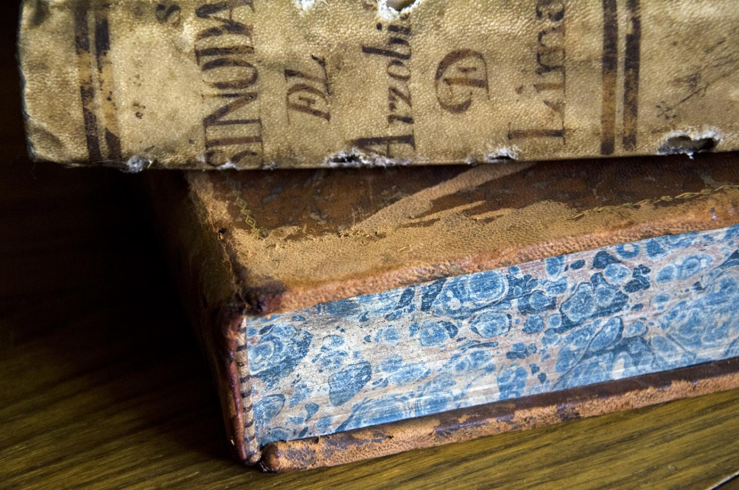 Libros del siglo XVIII encuadernados en cuero y papel marmoleado, Col. Americana, detalle (2016).